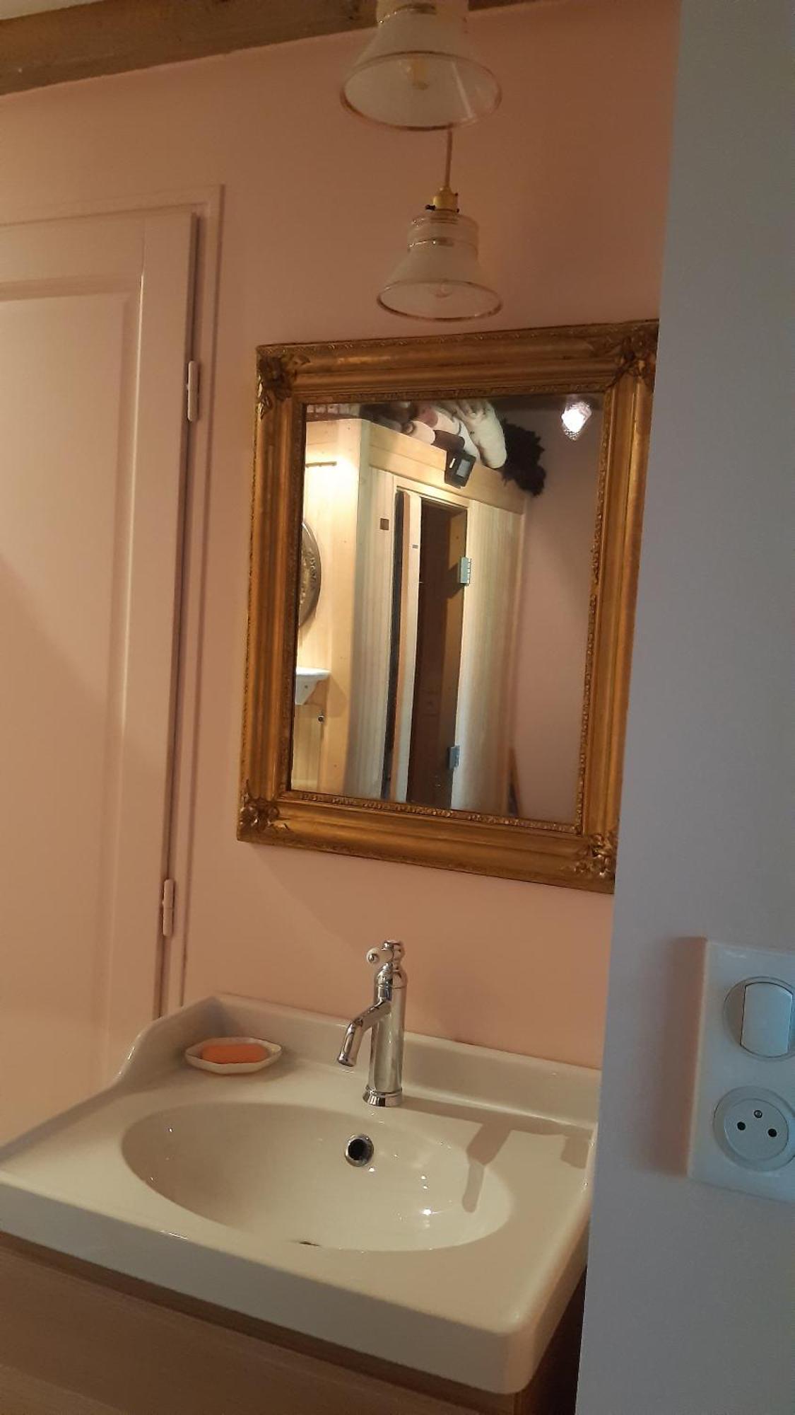 le buisson de la gariole ,chambre rhétaise Aubigny-sur-Nère Esterno foto